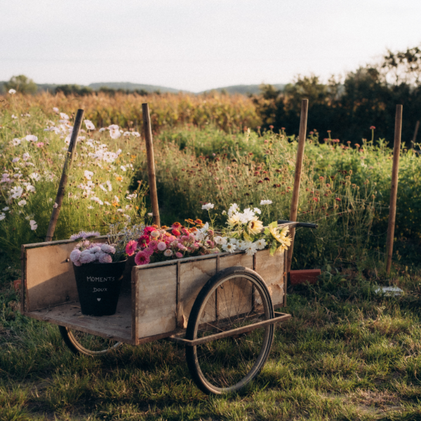 Atelier Cueillette & Bouquet – Image 4