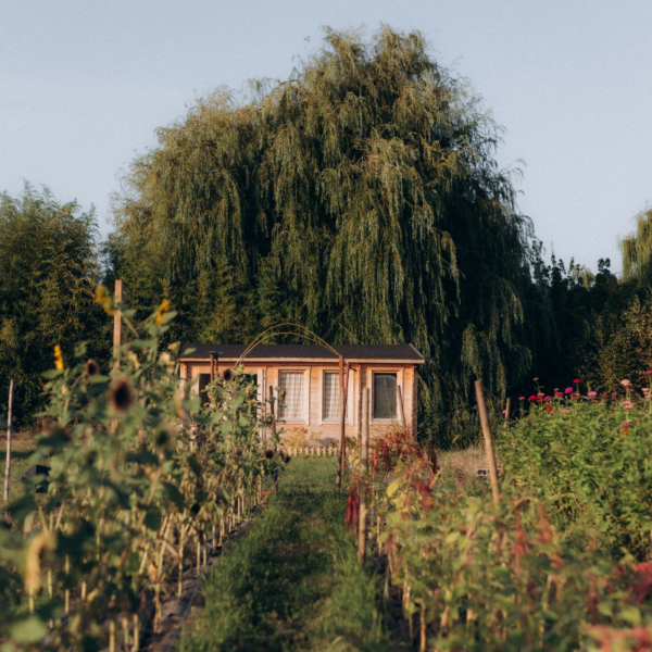 Atelier Cueillette & Bouquet – Image 5