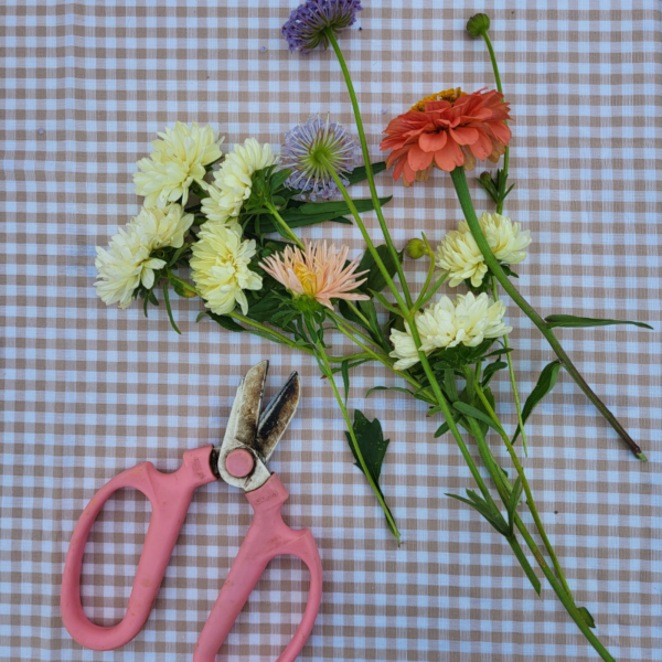 Atelier Tables de saison – Image 2